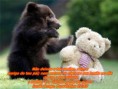 /album/rumo-aoceu/mund-animal-2-jpg/